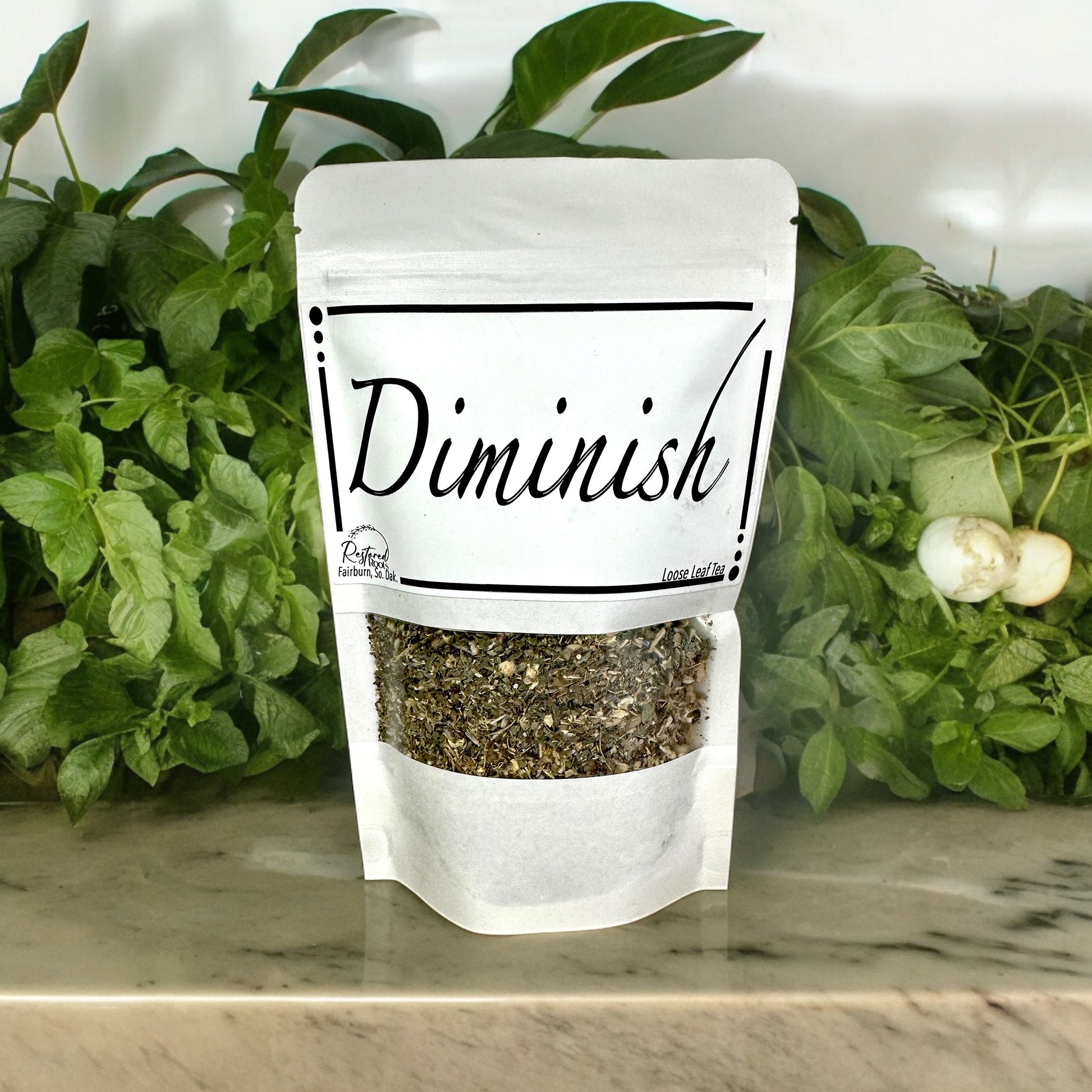 Diminish - Restored Roots
